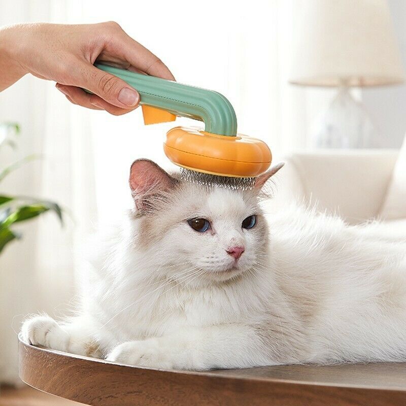 Pet Pumpkin Brush, Pet Grooming Self Cleaning Slicker Brush Slicker Brush